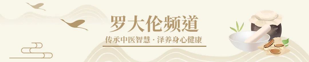 Understanding the Differences Among Various Ginsengs and Precautions for Use