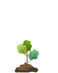 Yunnan Huanglian Mountain: Sowing Hope on Arbor Day
