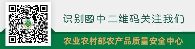 Nutritional Value of Honeysuckle (Jin Yin Hua)