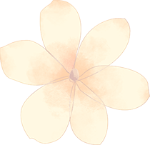 Exploring the Benefits of Fo Shou (Buddha's Hand) in Traditional Chinese Medicine