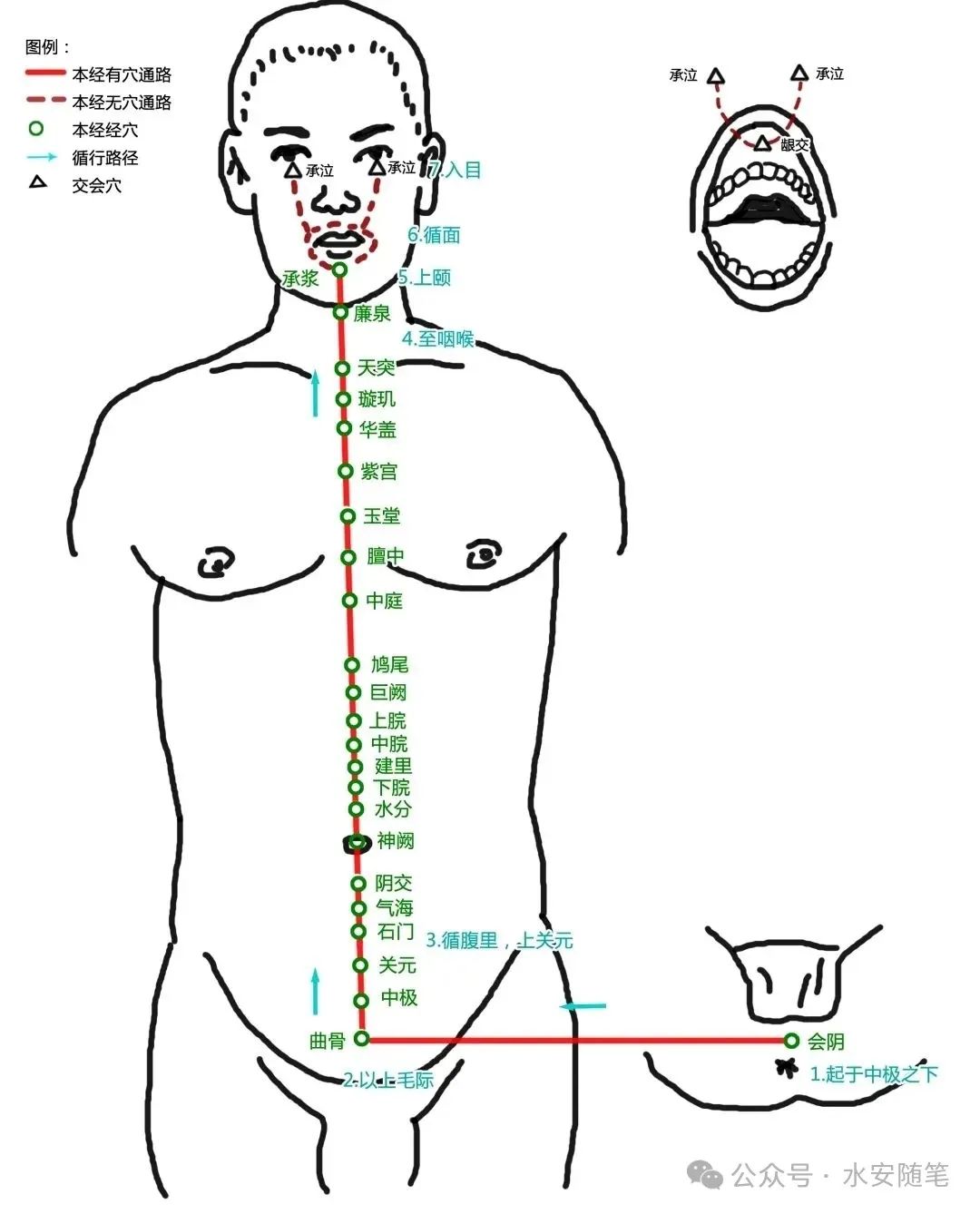 The Pathways of Meridians: A Traditional Chinese Medicine Guide