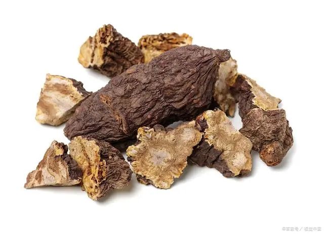 The Six Major Benefits of Rehmannia Glutinosa: How to Best Consume Rehmannia?