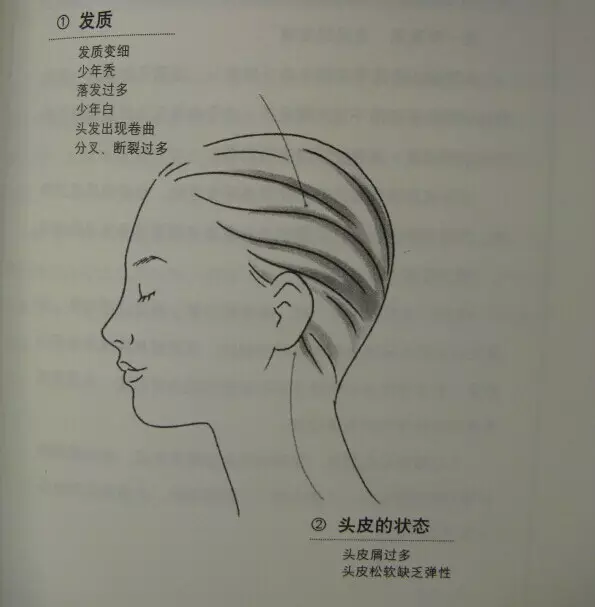 Understanding TCM Diagnosis Through Observation: A Comprehensive Guide