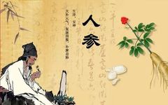 The Story of "Bencao Gangmu": The King of Herbs - Ginseng