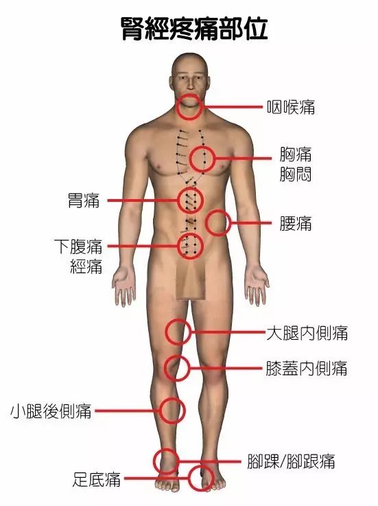 Correspondence Table of Emotions and Pain Related to Blocked Meridians