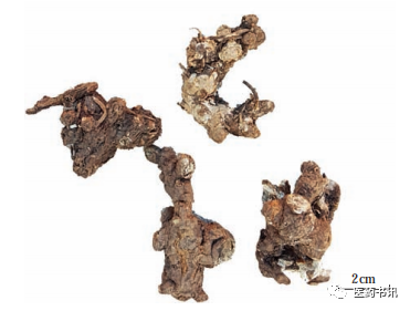 Comprehensive Guide to Chinese Medicinal Resources