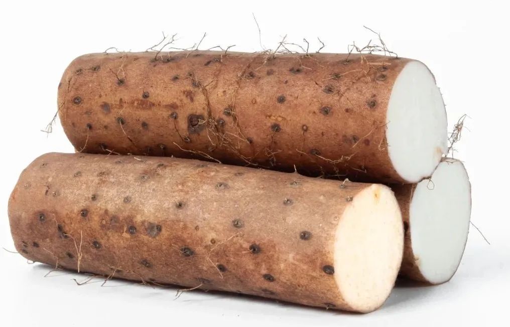 Nourishing Medicinal Cuisine: Unexpected Health Benefits