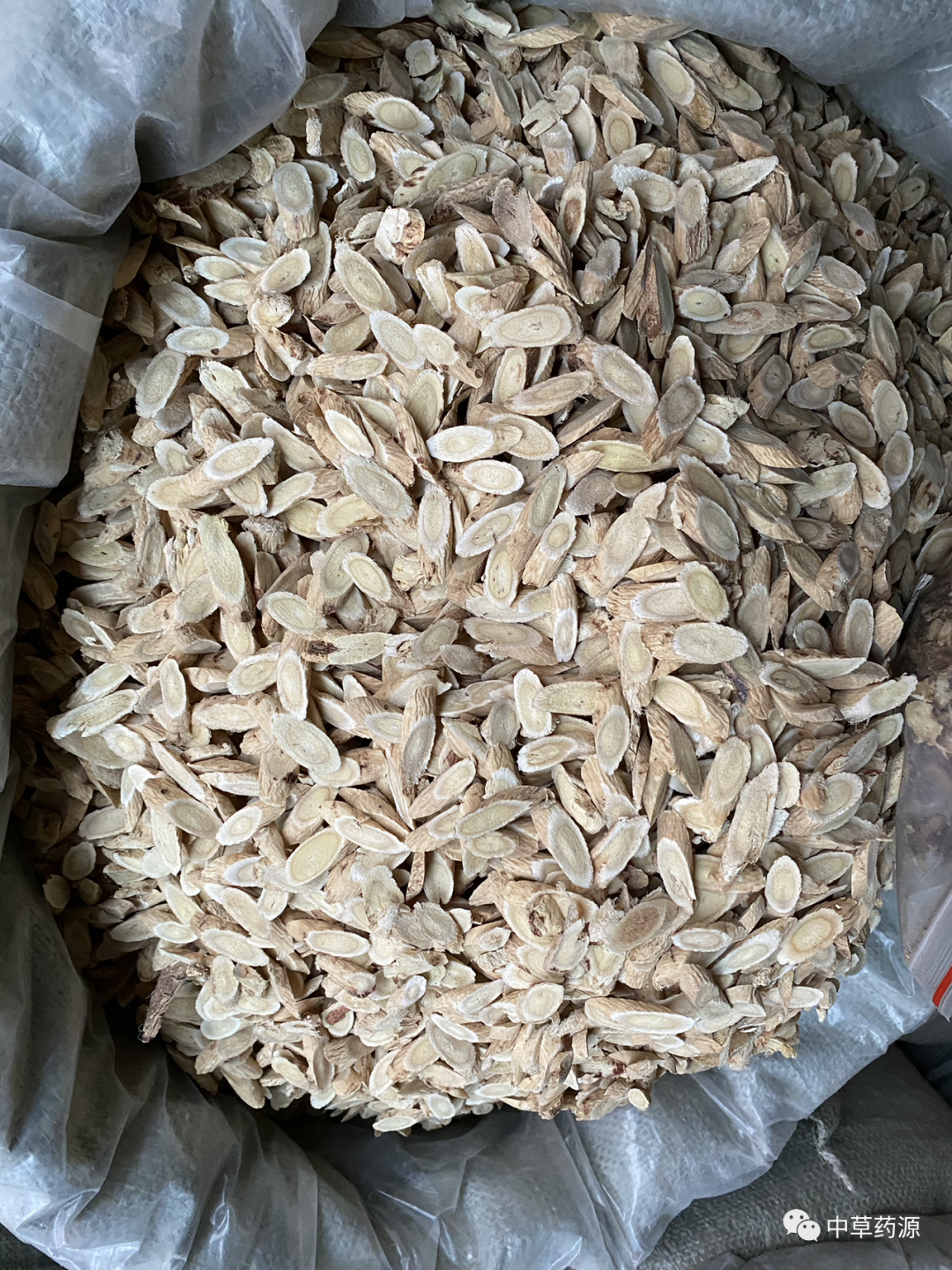 Appreciation of Traditional Chinese Medicine: Huangqi (Astragalus Root)
