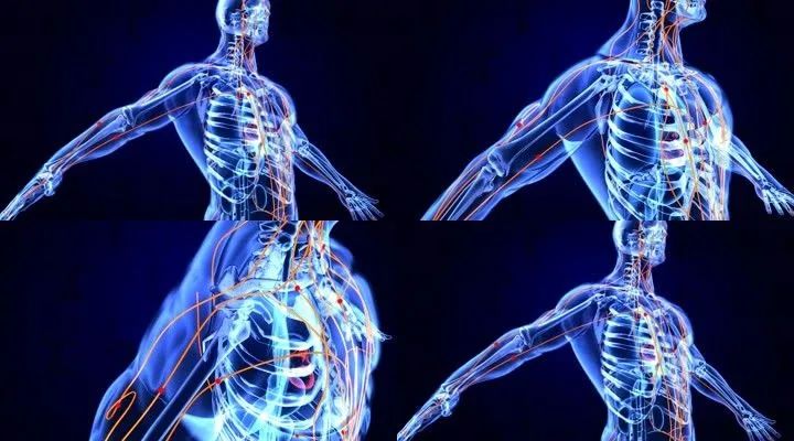 Comprehensive Diagram of Human Meridians (Recommended for Collection)