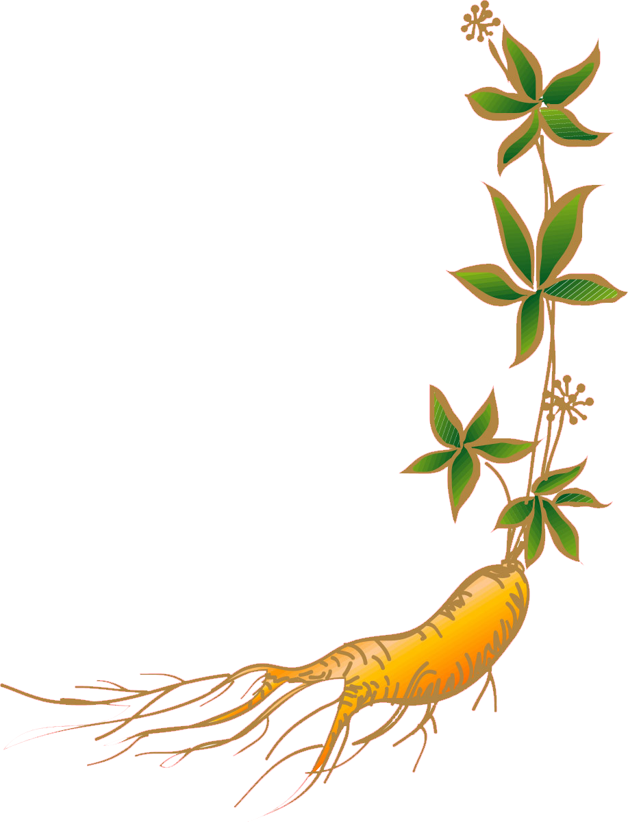 Overview of Ginseng