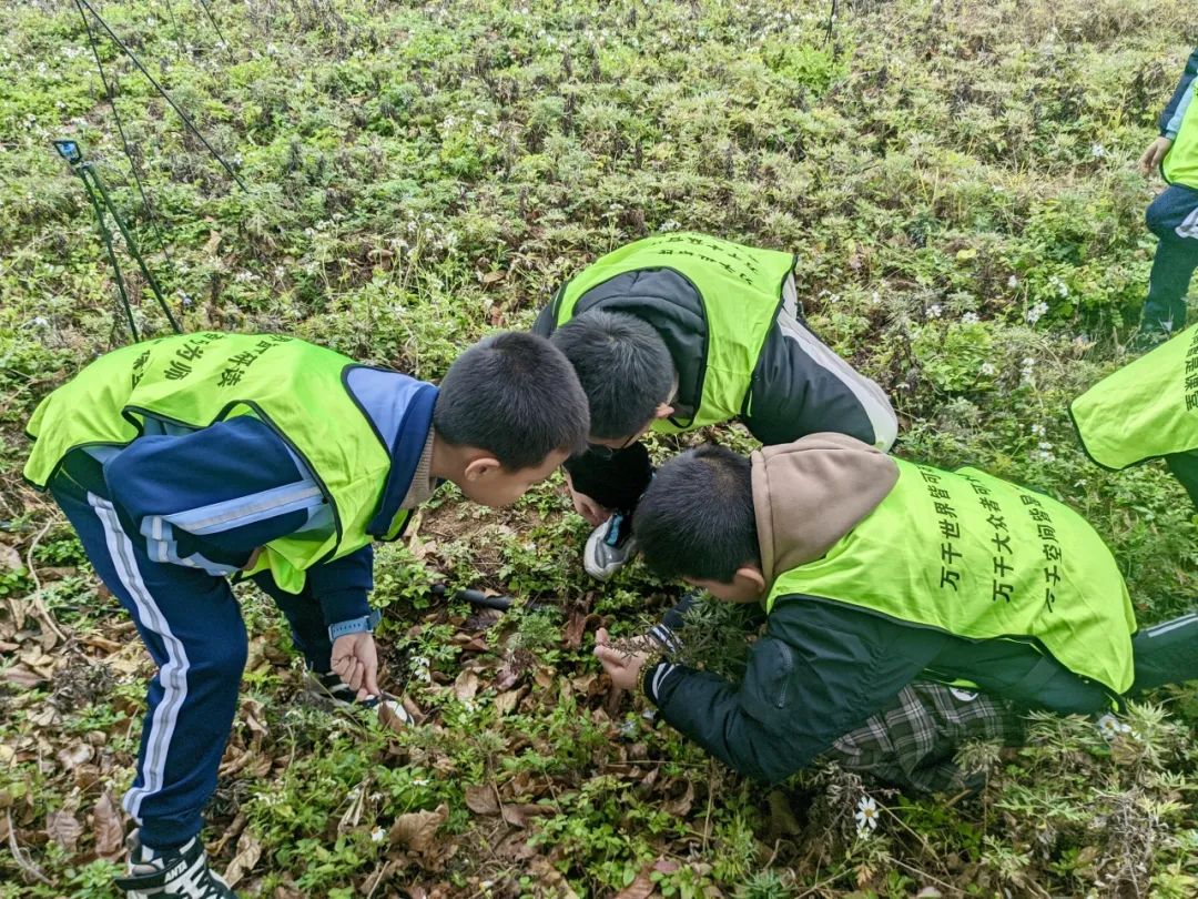 Exploring Medicinal Herbs and Agricultural Experiences: Class 2 of 2020 at Park Primary School Enjoys Springtime in the Fields