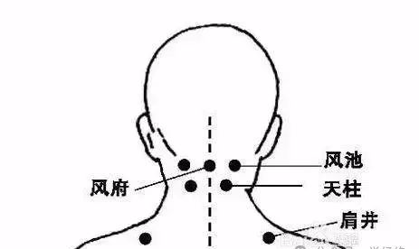 Common Acupuncture Points in Traditional Chinese Medicine for Reference