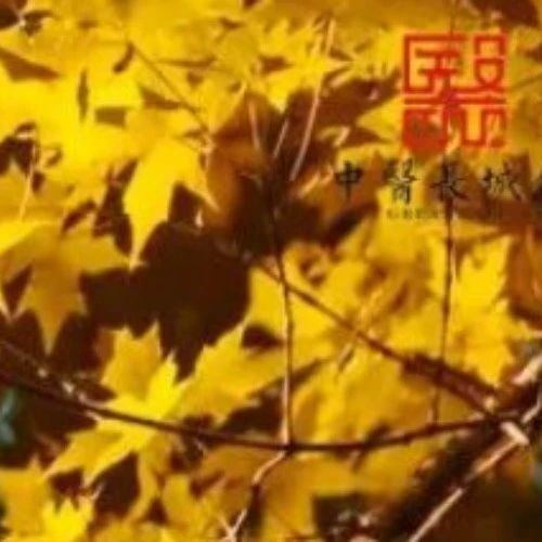 Understanding the Characteristics of the Slippery Pulse in TCM