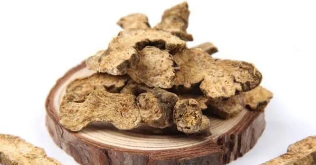 Traditional Chinese Medicine: Essential Knowledge About Cang Zhu (Atractylodes)