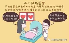What Causes Wind-Heat Cold? How to Treat It?