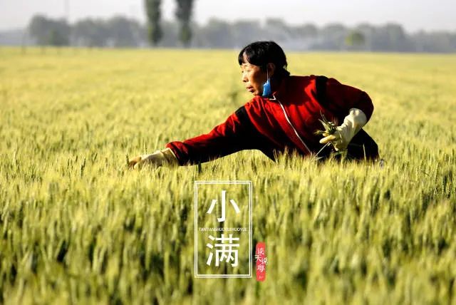 Preparing for the Humid and Hot Days of the Year: Tips for Health During Xiaoman