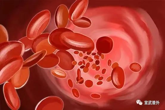 Is Anemia Just About Blood Supplementation?