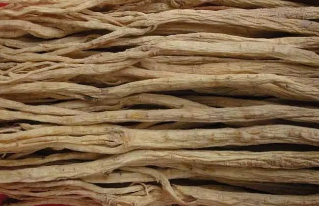 Knowledge of Ginseng Part Seven - The Effects and Usage of Codonopsis