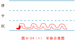 Illustrated Guide to 28 Dynamic Pulse Diagnoses in Traditional Chinese Medicine