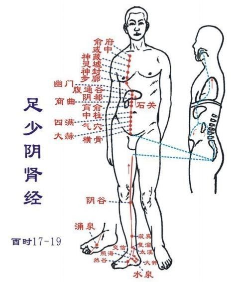 Essentials: The Twelve Meridians and Their Source, Luo, and Transport Points (Summary with Images)
