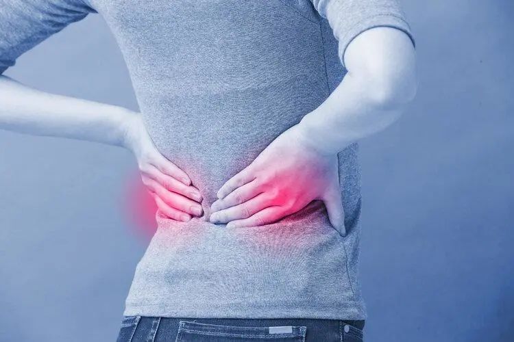 Does Drinking Astragalus Tea Harm the Kidneys? Warning: These 3 Chinese Herbs Are the Real Culprits