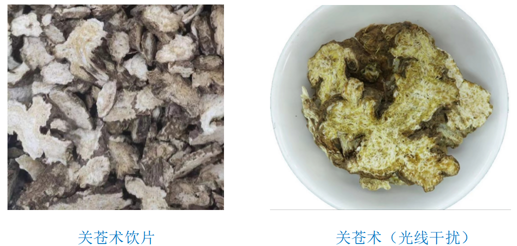 A Comprehensive Overview of Atractylodes (Cang Zhu) and Its Medicinal Value