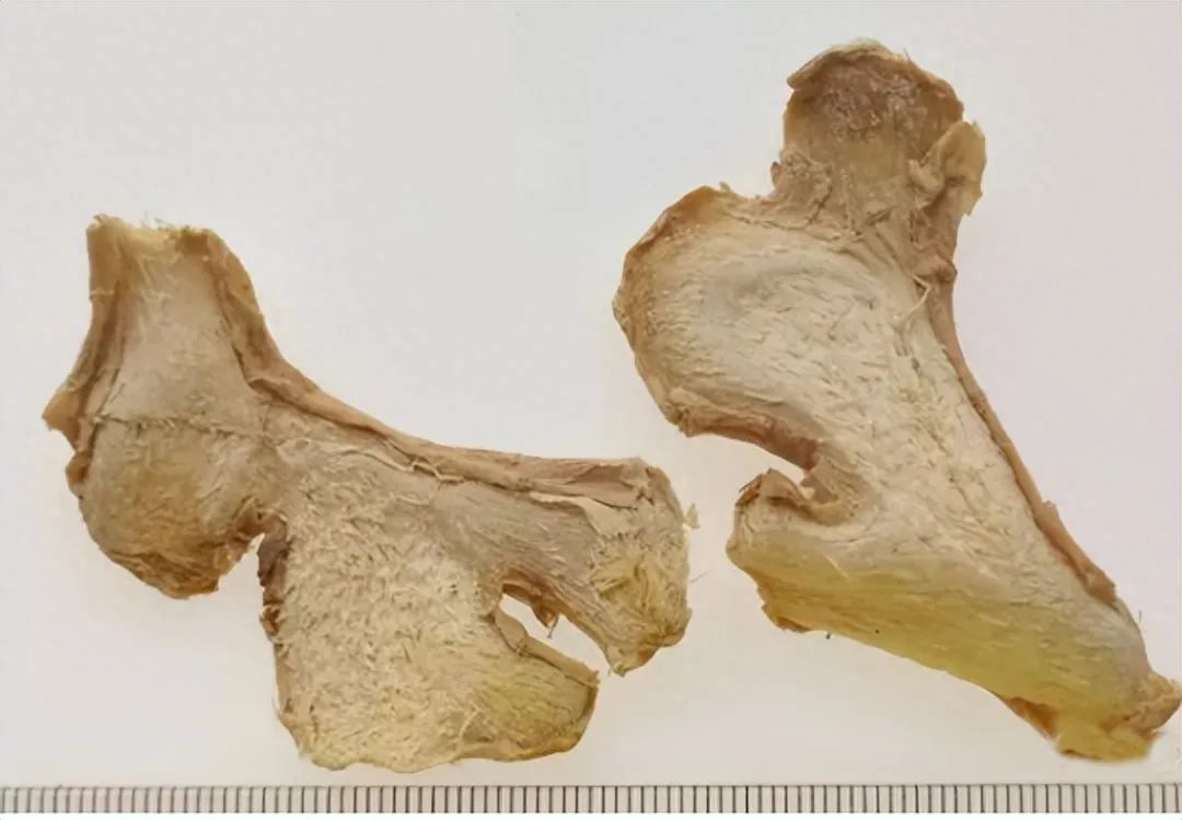 Identification of Dried Ginger (Gan Jiang)