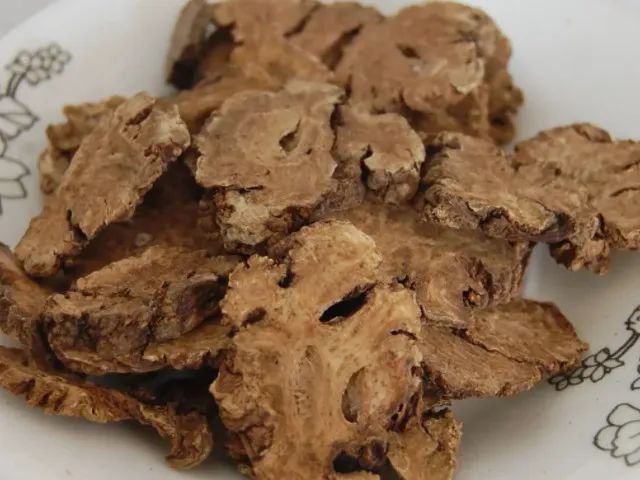The Efficacy, Nutritional Value, and Precautions of Chuanxiong (Rhizoma Chuanxiong)