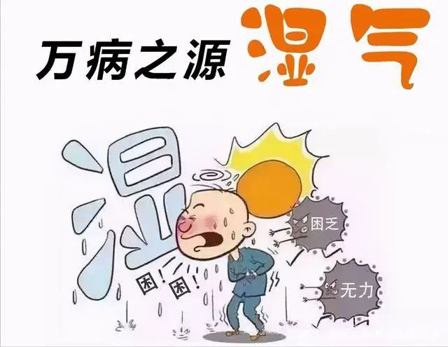 Heavy Dampness, Many Illnesses! Doctor Teaches You 6 Tips to Eliminate Dampness