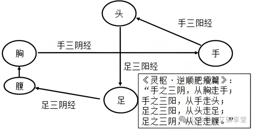 Distribution Patterns of the Twelve Meridians