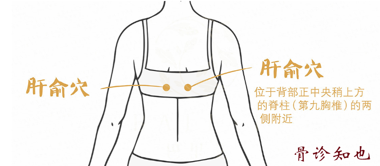 Bloodletting Therapy for 24 Difficult Diseases