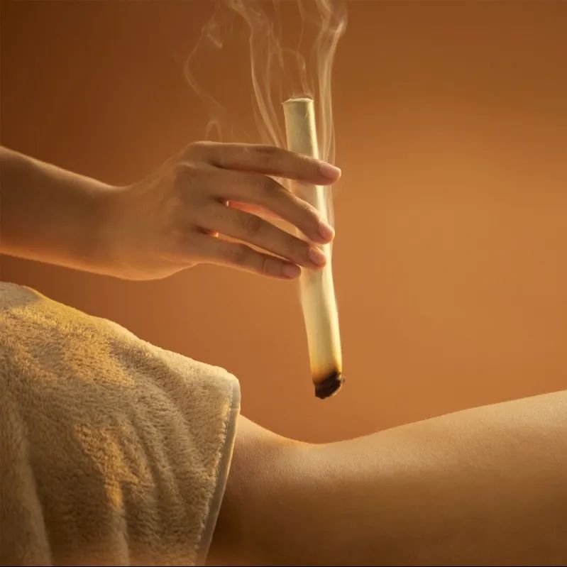 Strengthening the Body and Expelling Pathogens: TCM Strategies for Disease Prevention