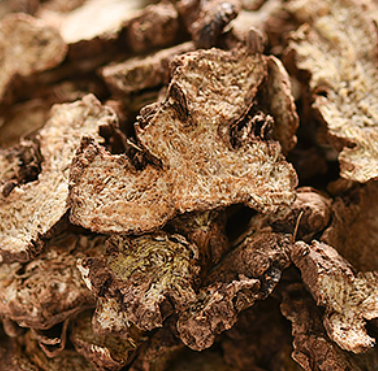 Daily Herb 182: Atractylodes - The Sacred Herb for Drying Dampness and Strengthening the Spleen