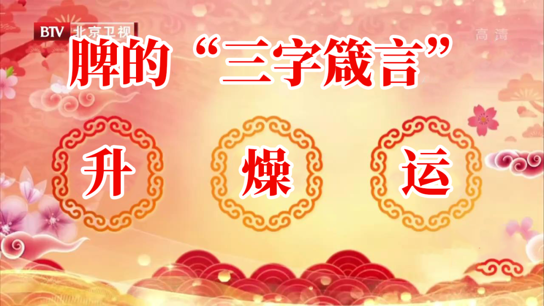 Combat Spleen and Stomach Deficiency with the "King of Warming the Stomach" - Recommended by Renowned TCM Experts!