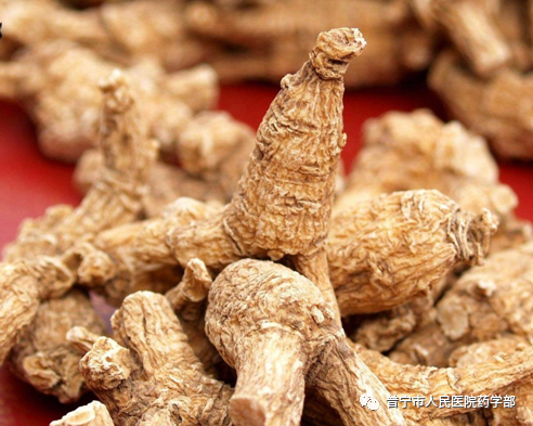 Understanding the Classification of Ginseng