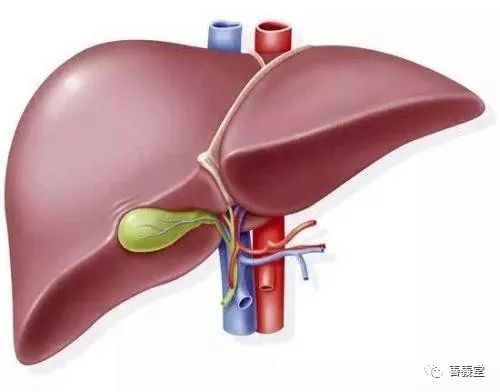 Differentiation and Regulation of Lung, Heart, Spleen, Liver, and Kidney Yin Deficiency
