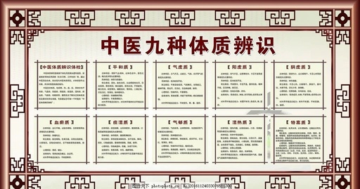 The Nine Major Constitutions in Traditional Chinese Medicine: Discover Which Type You Belong To (Part Two)