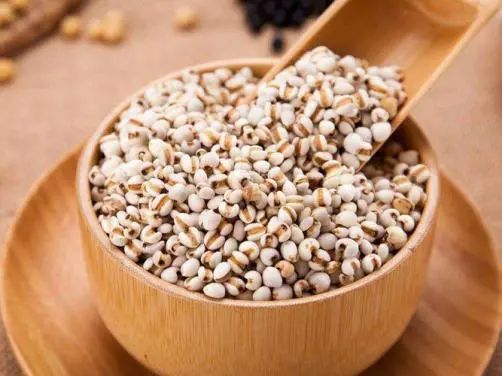 Coix Seed: Diuretic and Dampness-Removing Properties