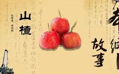 Traditional Chinese Medicine | The Story of Hawthorn and Its Digestive Benefits