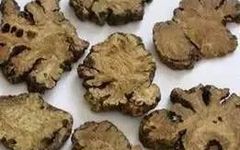 Promoting Blood Circulation and Resolving Stasis: The San Tong Decoction
