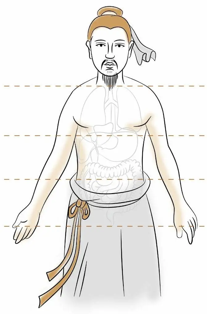 Foundations of Traditional Chinese Medicine: Functions of the Five Organs and Six Bowels