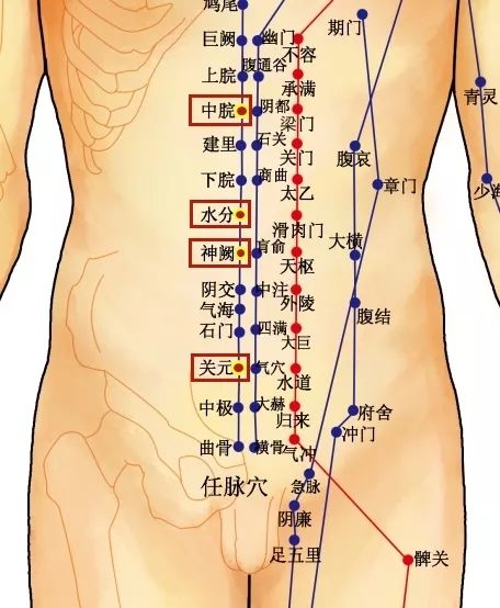 Overcoming Phlegm-Damp Constitution with Moxibustion!