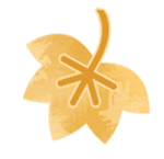 Health Science: Tips for Seasonal Wellness in Traditional Chinese Medicine