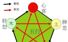 The Relationship Between the Five Elements and the Human Body