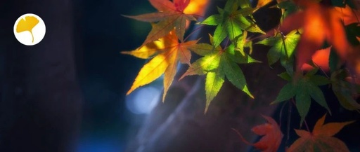 Autumn Equinox: A Key Period for Yin-Yang Balance! Nourish Both Yin and Yang with a Beautiful Soup