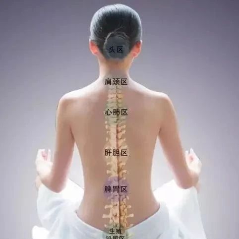The Remarkable Effects of Moxibustion on the Governing Vessel: A Springtime Practice!