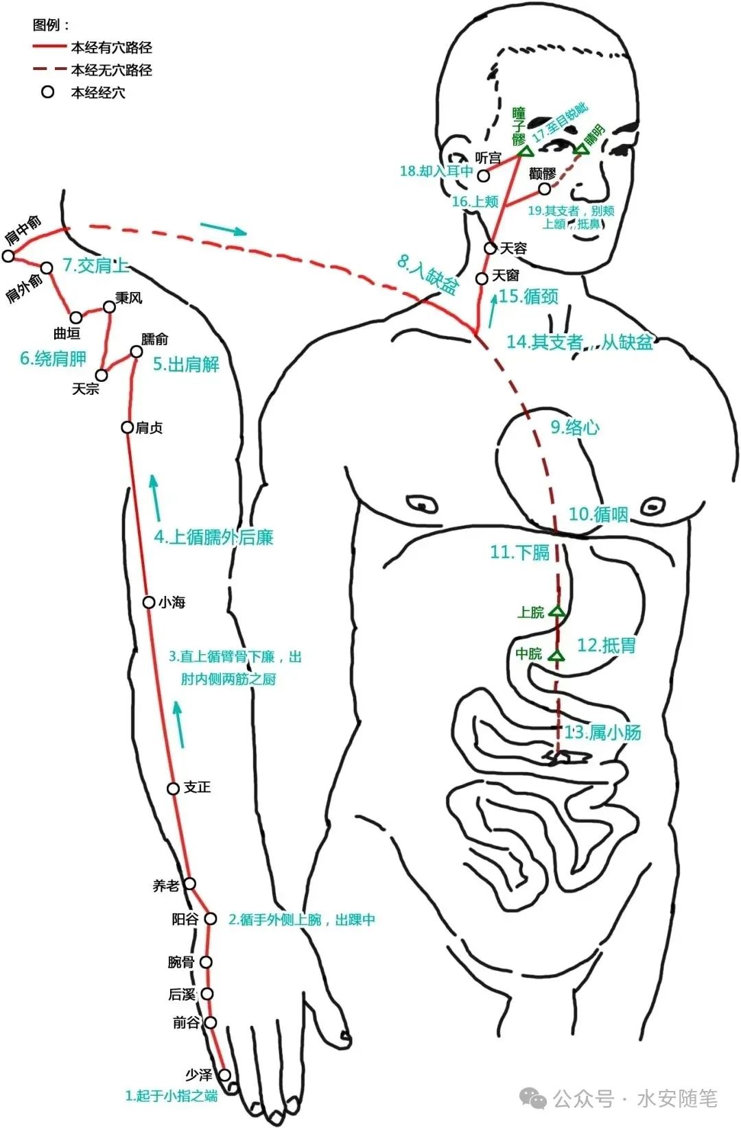 The Pathways of Meridians: A Traditional Chinese Medicine Guide