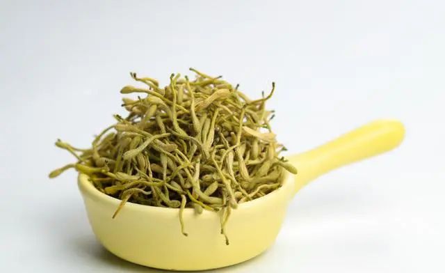 Honeysuckle: A Treasure for Health, Helping You Solve 5 Problems