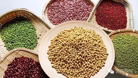 Nourishing with Grains: 6 Types of Beans for Summer Health