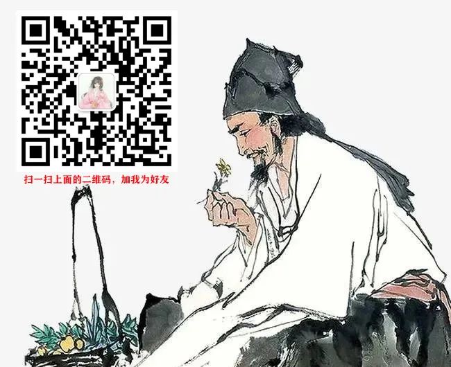 Comprehensive Guide to Herbs: Introduction and Efficacy of Cang Zhu (Atractylodes)